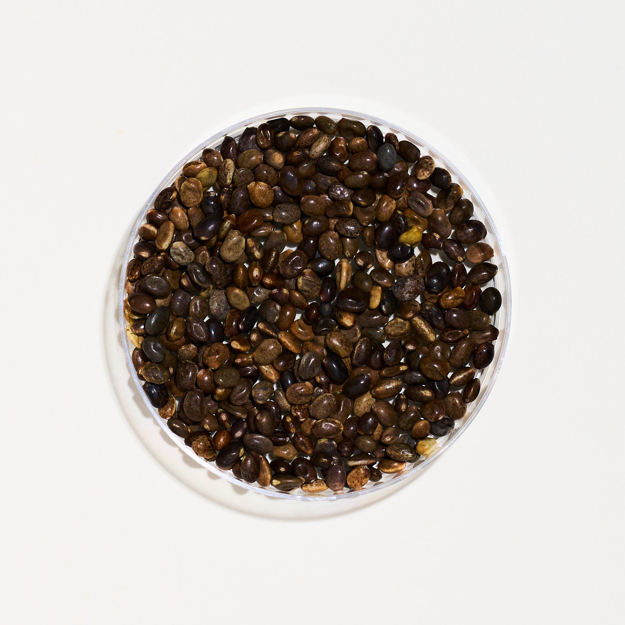 Black ingredients in a glass bowl on a white background
